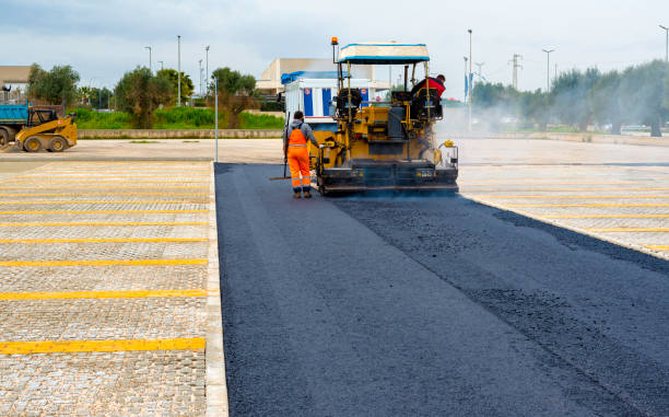 Best Driveway Snow Removal Preparation  in Valrico, FL